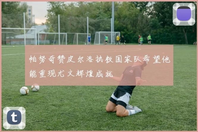 帕努奇赞皮尔洛执教国家队希望他能重现尤文辉煌成就